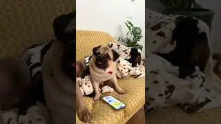 ОСКАР И ДЖОНИ ВЗОРВАЛИ ПЛЕЙСТЕЙШН 😨
