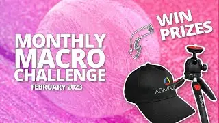 Monthly Macro Challenge [February 2023]