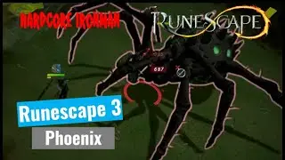 Phoenix | IM
