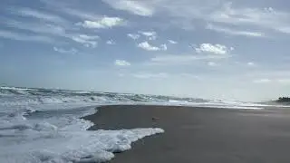 A Beach In Florida