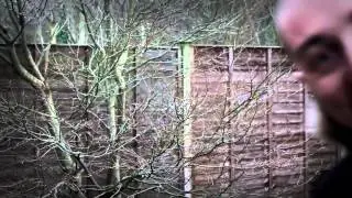 That's How we do it in my garden - Caddicarus