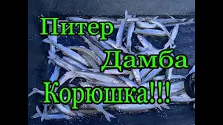 Финский , корюшка , палатка!!!