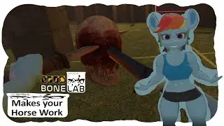 [Bonelab] Makes Your Horse Work Episode 2 - Arena