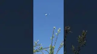 👀 helicopter 🚁 