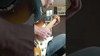 Pedal Pawn Fuzz with Custom Shop Strat