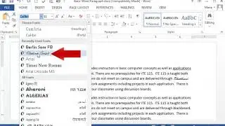 WORD CHARACTER FORMATTING