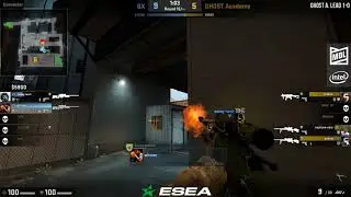 Insane plant denial by Swag