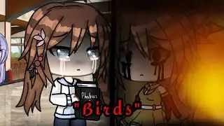 🕊️ 