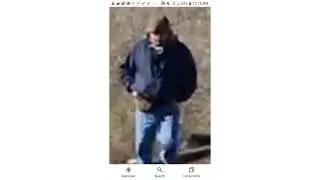 Delphi murders - rumors on reddit