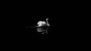 *FREE* (DARK) Pop Smoke x JcBuz x Skepta Type Beat - 