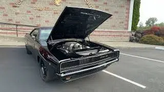 BLACK CAT Dodge Charger @ Rust or Shine Car Show & Music Festival 2024