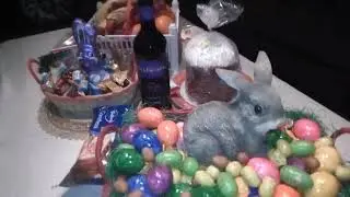 Светлой Пасхи!