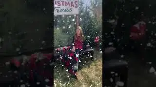 Christmas Tree Farm Photo Set - Linda McCague Photography