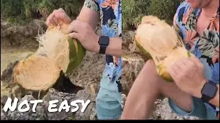 Opening a Coconut With My Bare Hands (Brutal)