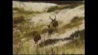 How To: Call Mule Deer featuring 