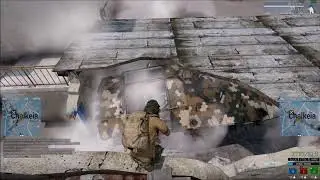 Arma est un jeu de simulation de guerre.