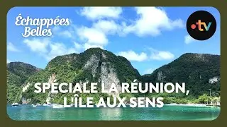 Special: Réunion, the Island of the Senses