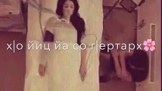 Песня муьлхачу некъа со ваьлла д1а водарх😍