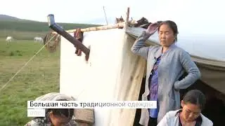 Выделка кожи