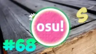 Lifetheory - Daisy l OSU!