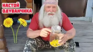 Настой одуванчика - целебная сила солнца! Как приготовить и употреблять