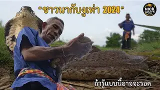 ลุยดิบ EP.140 ชาวนากับงูเห่า 2024 ถ้ารู้แบบนี้อาจจะรอด!!