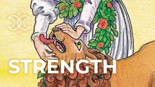 Strength 🦁 Quick Tarot Card Meanings 🦁 Tarot.com
