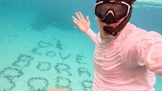 Bora Bora Tahiti Vlog Swimming with Sharks 2024 Day 3