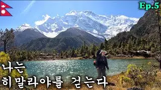 여자 혼자 히말라야 20kg 배낭 매고 트레킹 하기 | 안나푸르나 라운딩 Ep.5