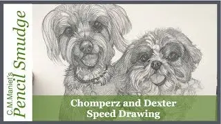 Chomperz and Dexter Speed Drawing