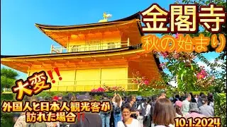 【金閣寺秋の始まり•京都】日本人と外国人観光客が訪れた場合⚠️大変な事に‼️|Kyoto Tourist most visited Spot 『Kinkakuji Temple』10.1.2024
