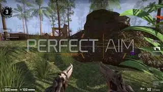 PerfectAim CS:GO Multihack - Undetected ESP/Aimbot/Silent Aim/Triggerbot/HvH cheat