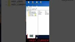 Internet Download manager
