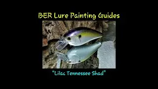 BER Painting Guides: 