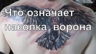 Что означает тюремная наколка в виде ворона
