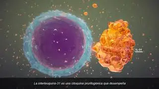 Cytopoint
