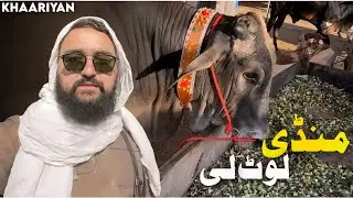 Kharian Mandi Loot Li 😍 Maweshi Mandi Kharian Rates Eid Ul Adha (Bakra Eid) 2024 |  Usama Butt Vlogs