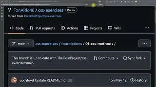CSS Foundations Assignment | The ODIN Project