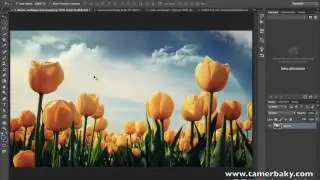 الدرس الثاني والثلاثون الفلاتر Adobe Photoshop CC 2015