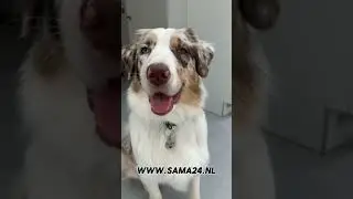 www.sama24.nl