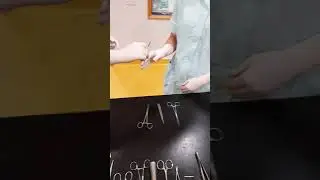 passing forceps
