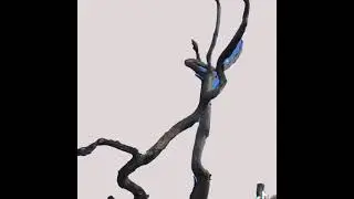 Manipulation