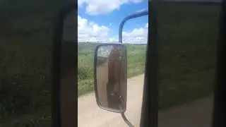 камаз 65115