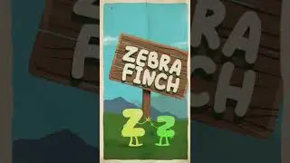 Bird Alphabet for Kids - Birds that Start with Z