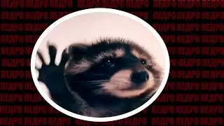 ПЕДРО ПЕДРО ПЕДРО — ОТКУДА МЕМ?