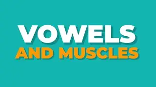VOWELS AND MUSCLES Vocal exercise