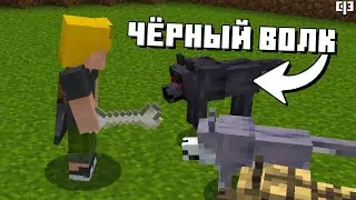 Новые ВИДЫ волков в майнкрафте 1.21 - Обзор снапшота 24w10a