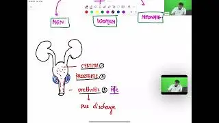 Microbiology class - Part 11