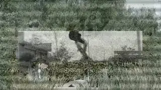 PAVEL - Huesped