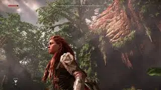 Horizon Forbidden West PC Blurry Issue (Steam version)